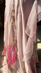 Gulabo Choli Palazzo Set